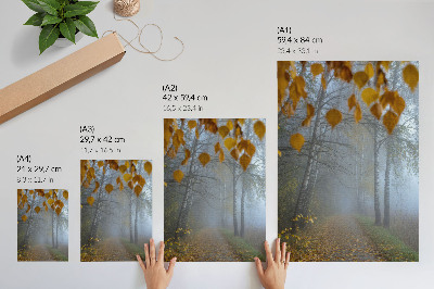 Decoratieve poster Mistig herfstbos, berkenbomen, gele bladeren