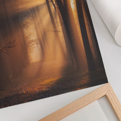 Wandposter Magisch licht, bosbomen, zonnestralen, rust
