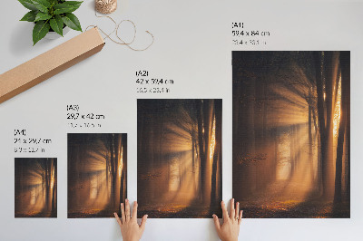 Wandposter Magisch licht, bosbomen, zonnestralen, rust