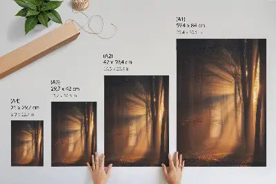 Wandposter met sfeervol boslandschap met zonnestralen en magisch licht