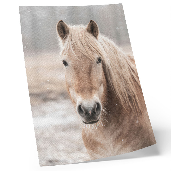 Wandposter Paard winter zachte kleuren rust natuur