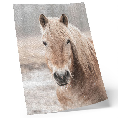 Wandposter Paard winter zachte kleuren rust natuur