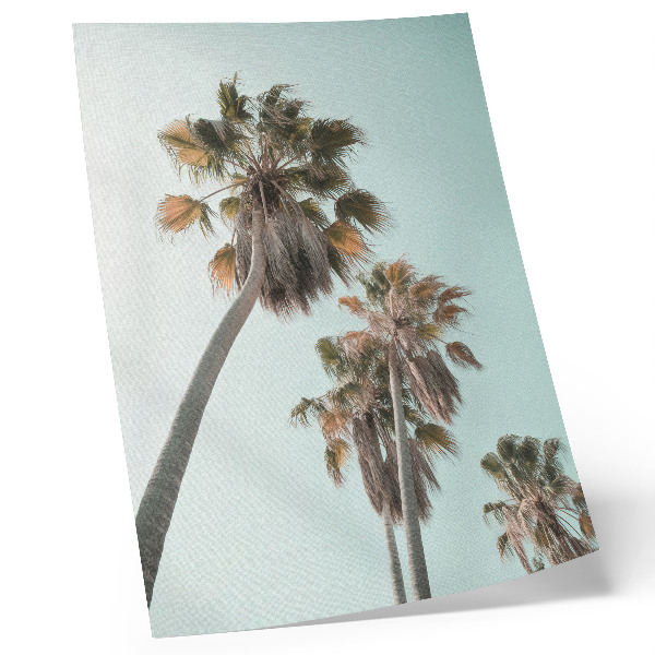 Decoratieve poster Palmbomen, delicate blauwe lucht, exotisch