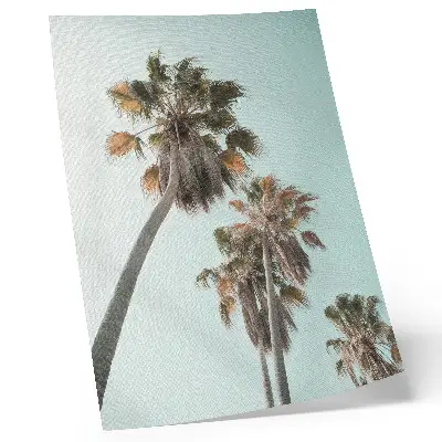Decoratieve poster met weergave van palmbomen onder een delicate blauwe lucht in exotische stijl
