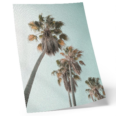 Decoratieve poster Palmbomen, delicate blauwe lucht, exotisch