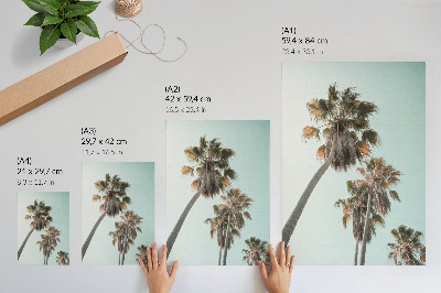 Decoratieve poster Palmbomen, delicate blauwe lucht, exotisch