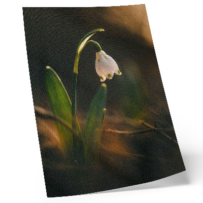 Decoratieve poster Sneeuwklokje, groene blaadjes, warm licht