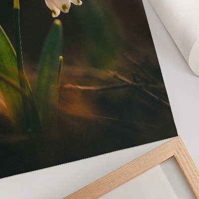 Decoratieve poster Sneeuwklokje, groene blaadjes, warm licht