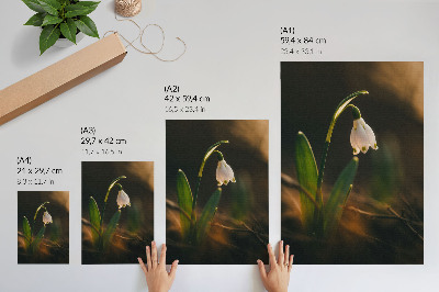 Decoratieve poster Sneeuwklokje, groene blaadjes, warm licht