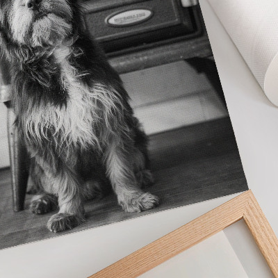 Wandposter Een rustige zwart-witte hond staat naast een oude kachel.
