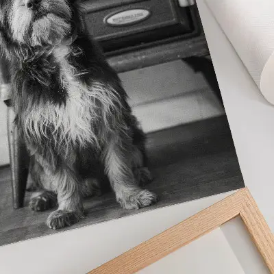 Wandposter rustige zwart-witte hond naast een oude kachel
