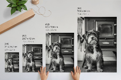 Wandposter Een rustige zwart-witte hond staat naast een oude kachel.