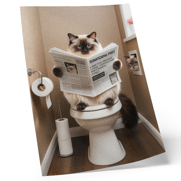 Decoratieve poster Kat met krant, beige muur, humor en warmte