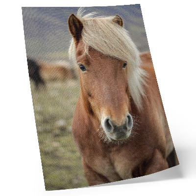 Wandposter Lichte manen, bruine vacht, IJslands paard