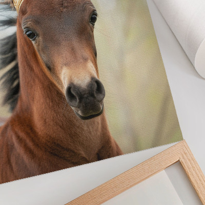 Wandposter Een paard met een kroon tegen een neutrale achtergrond.