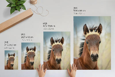 Wandposter Een paard met een kroon tegen een neutrale achtergrond.