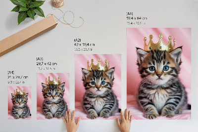 Poster Roze kroontje met kitten en blauwe ogen als decoratie
