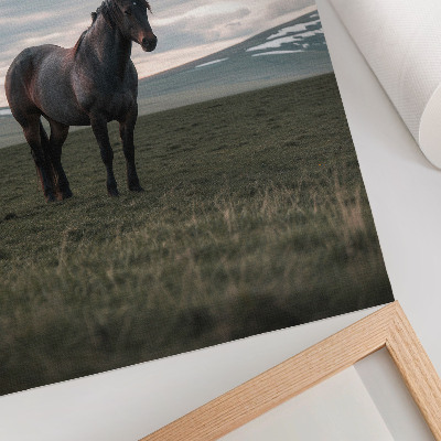 Poster Paard in de wei, wolken, ochtend, harmonie van de natuur