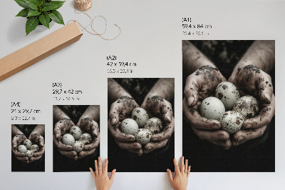 Decoratieve poster Aardse handen en kwarteleieren vol contrast