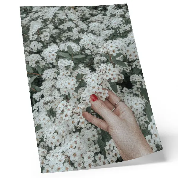 Poster witte bloemen, groene hand en rode nagels