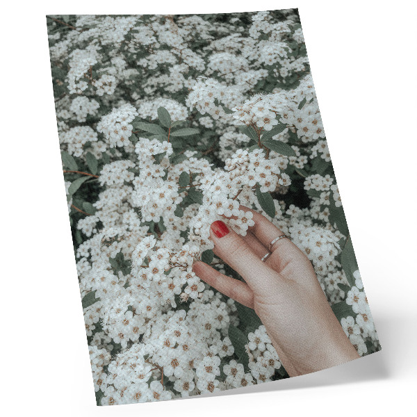 Poster Witte bloemen, groene hand, rode nagels