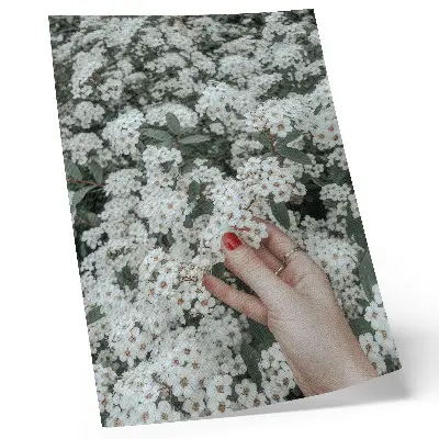 Poster witte bloemen, groene hand en rode nagels