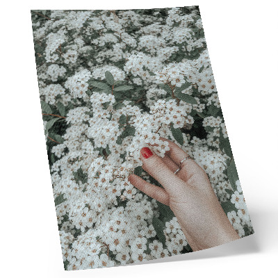 Poster Witte bloemen, groene hand, rode nagels