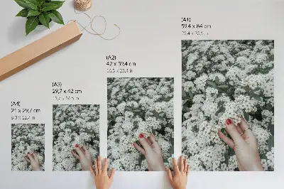 Poster witte bloemen, groene hand en rode nagels