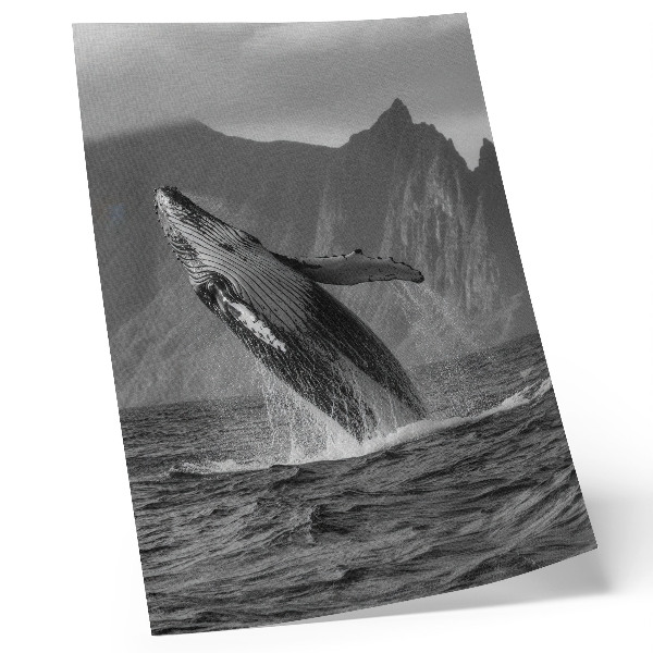Poster Een foto van een springende walvis met bergen op de achtergrond.