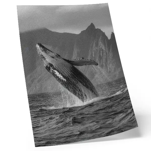 Poster met een springende walvis en bergen op de achtergrond