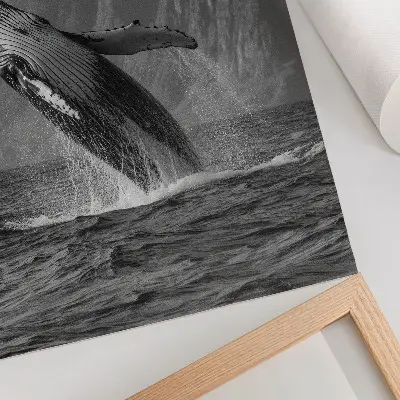 Poster met een springende walvis en bergen op de achtergrond