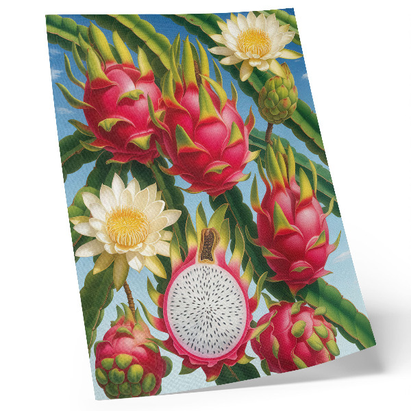 Decoratieve poster Exotische vruchten, cactussen, hemel, heldere kleuren