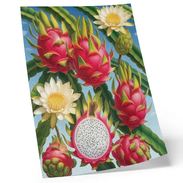 Decoratieve poster met exotische vruchten, cactussen en een heldere lucht