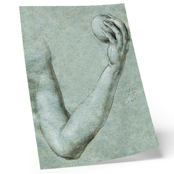 Poster Eva's Arm (1507) van Albrecht Dürer