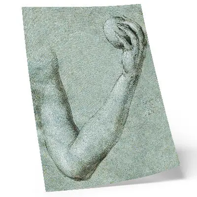 Eva's Arm (1507) van Albrecht Dürer poster