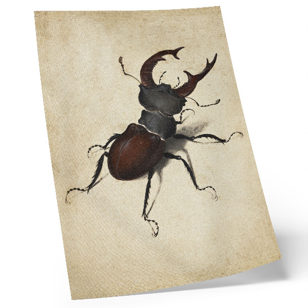 Decoratieve poster Het vliegend hert van Albrecht Dürer (1505)