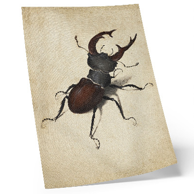 Decoratieve poster Het vliegend hert van Albrecht Dürer (1505)