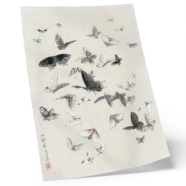 Poster De vlinders en motten van Hokusai