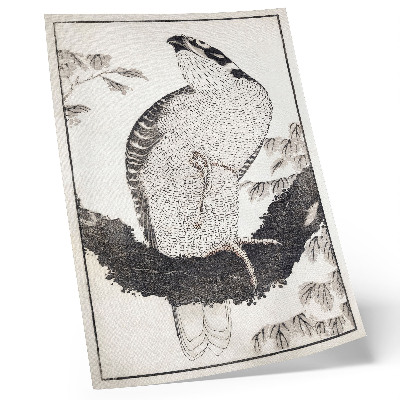 Poster Vogel uit het schetsalbum van Katsushika Hokusai (1814), vintage Japanse houtsnede