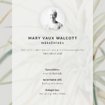 Wandposter Wilde ananas (Tillandsia fasciculata) (1921) door Mary Vaux Walcott