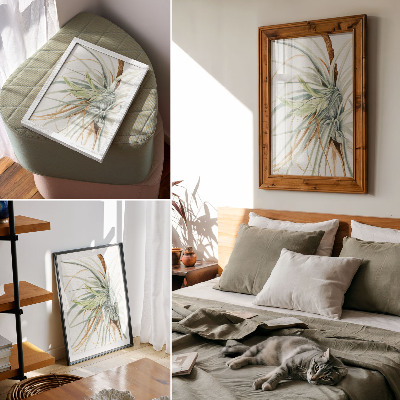 Wandposter Wilde ananas (Tillandsia fasciculata) (1921) door Mary Vaux Walcott