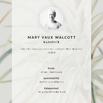 Wandposter Wilde ananas (Tillandsia fasciculata) (1921) door Mary Vaux Walcott