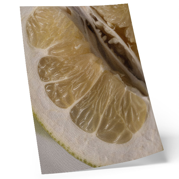 Wandposter Een schijfje citrusvrucht met sappige partjes.