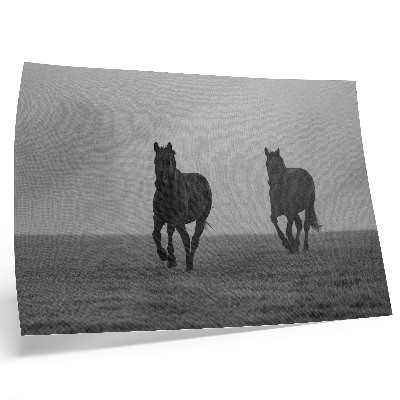 Poster Rennende paarden, zachte mist, vredige ruimte