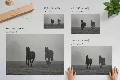 Poster rennende paarden in een zachte mist in een vredige ruimte