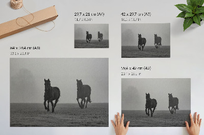 Poster Rennende paarden, zachte mist, vredige ruimte