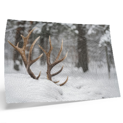 Moderne decoratieve poster Geweien in de sneeuw, winterbos, natuurlijke rust