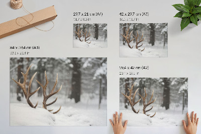 Moderne decoratieve poster Geweien in de sneeuw, winterbos, natuurlijke rust