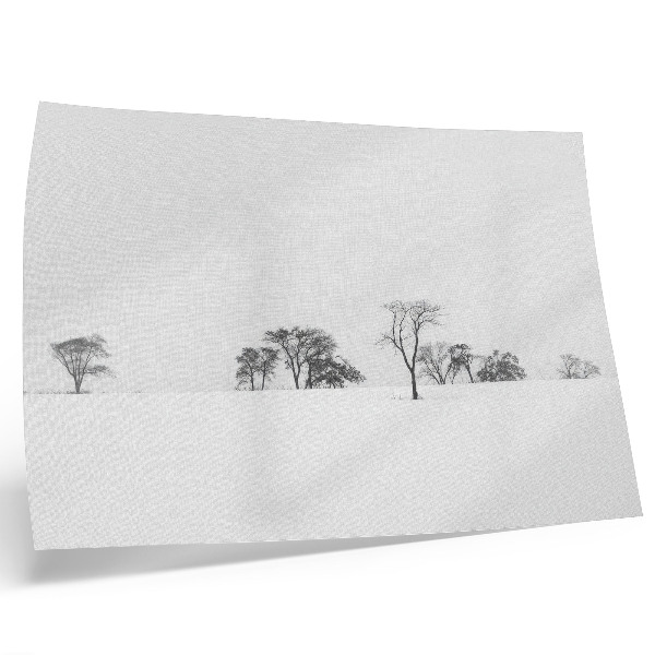 Stijlvolle wandposter Minimalistisch landschap, winterbomen, rust