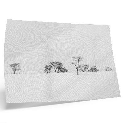 Stijlvolle wandposter Minimalistisch landschap, winterbomen, rust